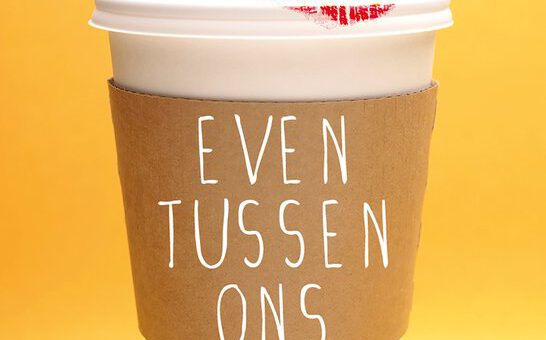 Boek : Jane Fallon - Even tussen ons