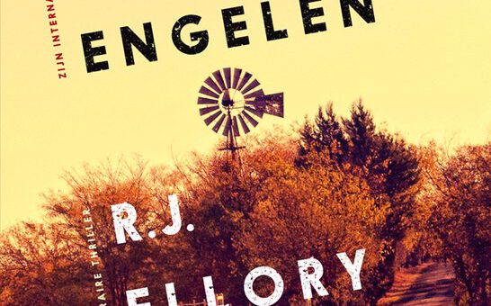Boek : R.J. Ellory - Een stil geloof in engelen