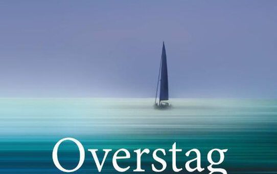 Boek : Amity Gaige - Overstag