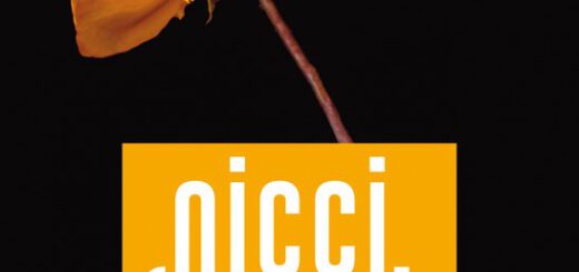 Boek : Nicci French - In hechtenis