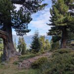 Een heel fraai uitzicht