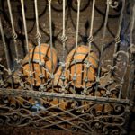 Whisky Vaten in Saltzwelten Saltzburg