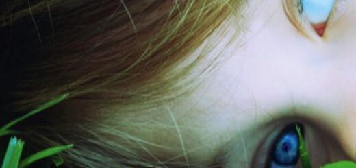 Boek : Linda Green - Haar laatste woorden