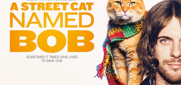 Film : A StreetCat named Bob (2016)
