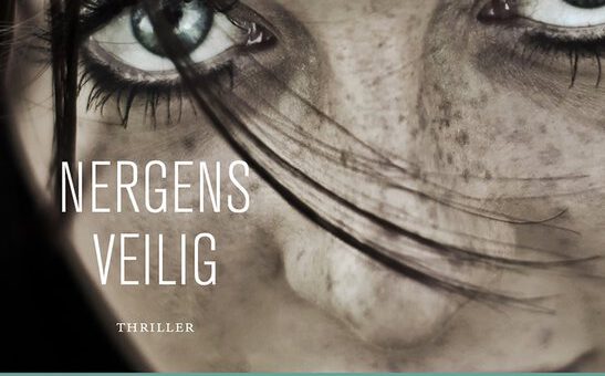 Boek : Karen Rose - Nergens veilig