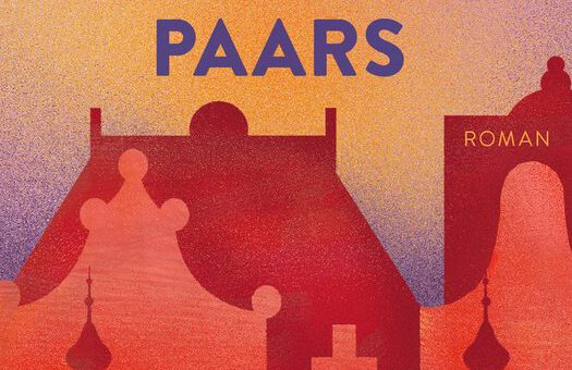 Boek : Sholeh Rezazadeh - De hemel is altijd paars