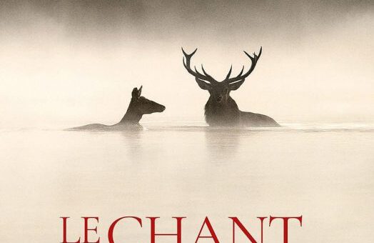 Film : Whispers in the Woods (2025)