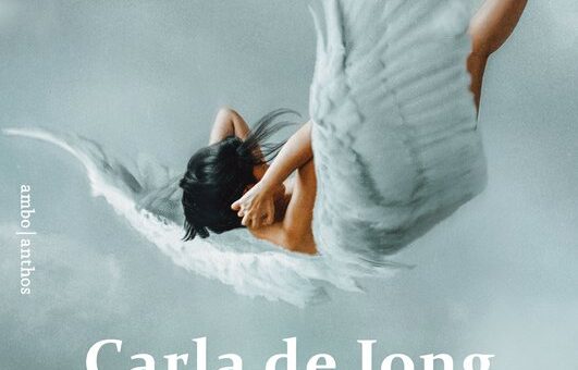 Boek : Carla de Jong - De sessies